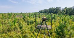 Macon County Hunting tract