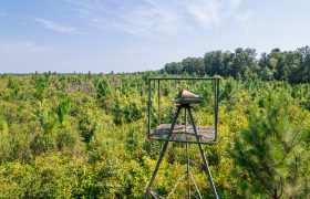 Macon County Hunting tract