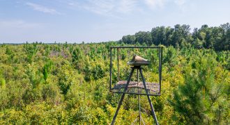 Macon County Hunting tract