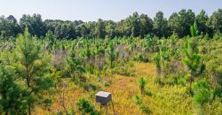 Macon County Hunting tract