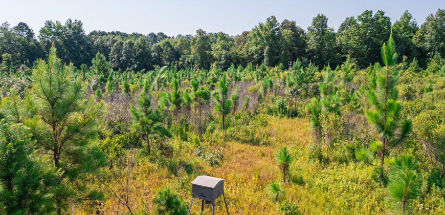 Macon County Hunting tract