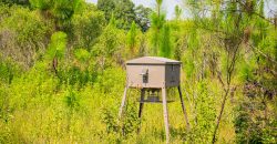 Macon County Hunting tract