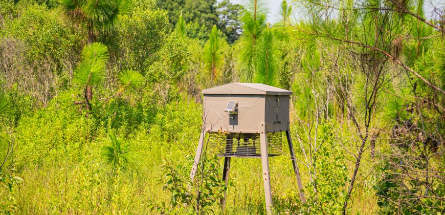 Macon County Hunting tract