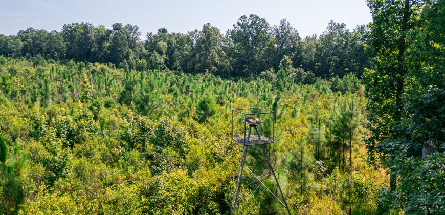 Macon County Hunting tract
