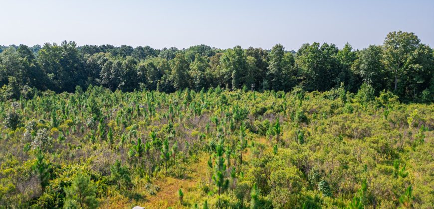 Macon County Hunting tract