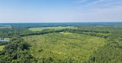 Macon County Hunting tract