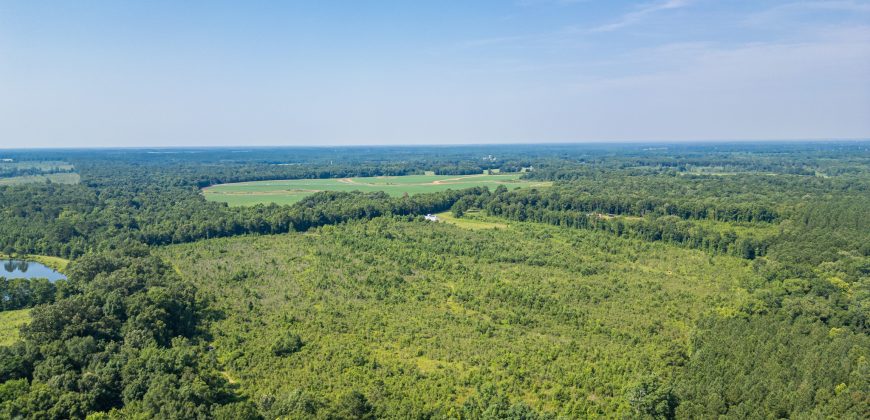 Macon County Hunting tract