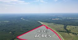 Upson County 43 +/- acres