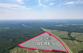 Upson County 43 +/- acres