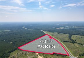 Upson County 43 +/- acres