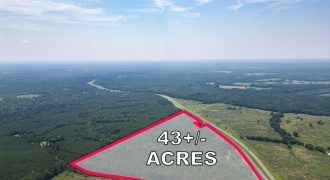 Upson County 43 +/- acres