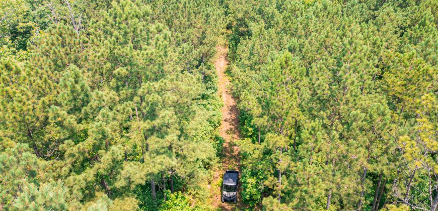 Upson County 43 +/- acres