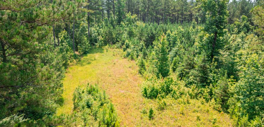 Upson County 43 +/- acres