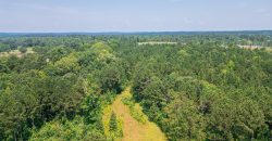 Upson County 43 +/- acres