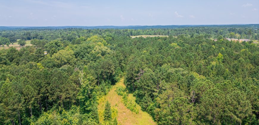 Upson County 43 +/- acres