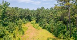 Upson County 43 +/- acres