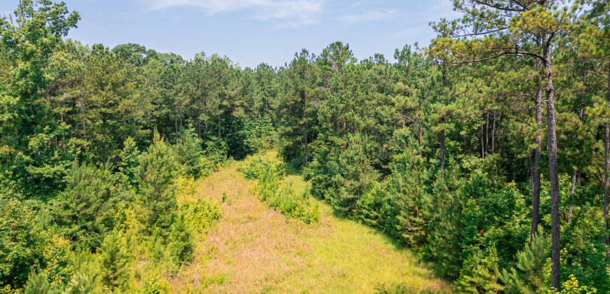Upson County 43 +/- acres