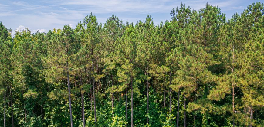 Upson County 43 +/- acres