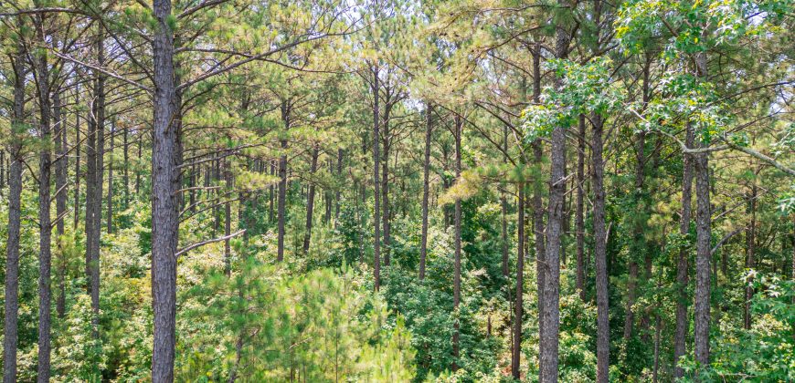 Upson County 43 +/- acres