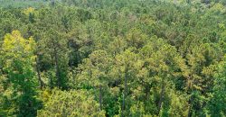 Upson County 43 +/- acres