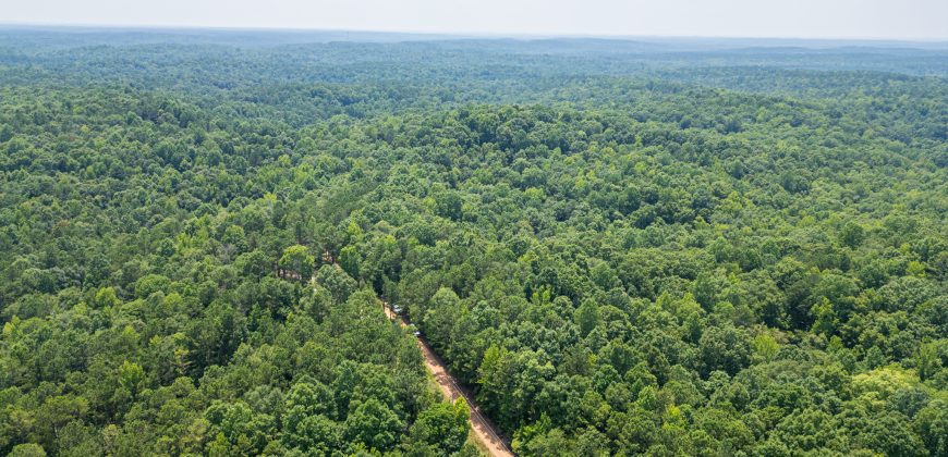Chattahoochee Hardwoods