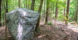 Chattahoochee Hardwoods