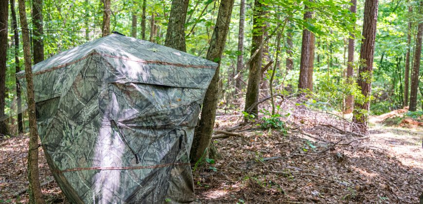 Chattahoochee Hardwoods
