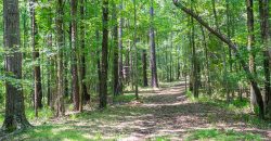 Chattahoochee Hardwoods