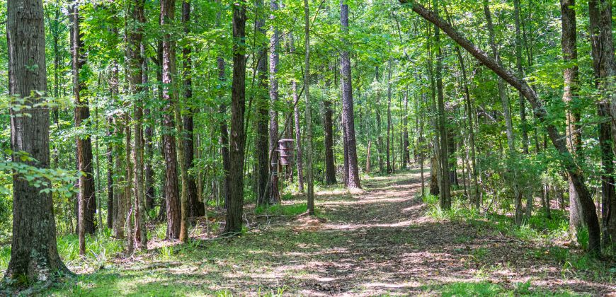 Chattahoochee Hardwoods