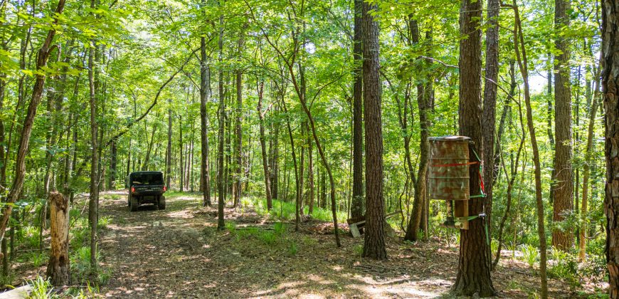 Chattahoochee Hardwoods