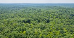 Chattahoochee Hardwoods