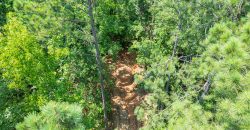 Chattahoochee Hardwoods
