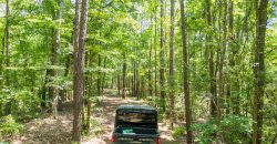 Chattahoochee Hardwoods