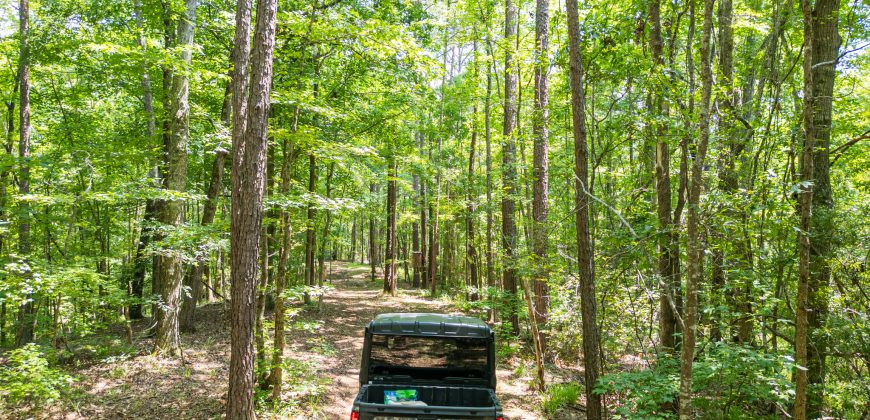 Chattahoochee Hardwoods