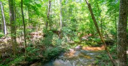 Chattahoochee Hardwoods
