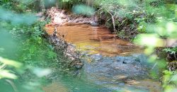 Chattahoochee Hardwoods
