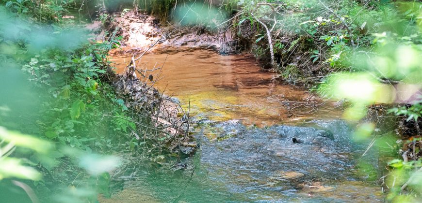 Chattahoochee Hardwoods
