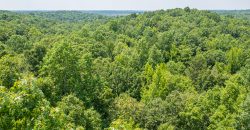 Chattahoochee Hardwoods