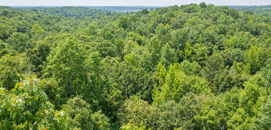 Chattahoochee Hardwoods
