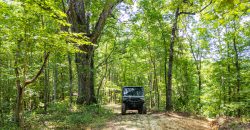 Chattahoochee Hardwoods