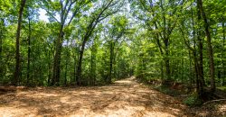 Chattahoochee Hardwoods