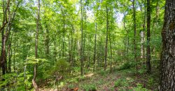 Chattahoochee Hardwoods
