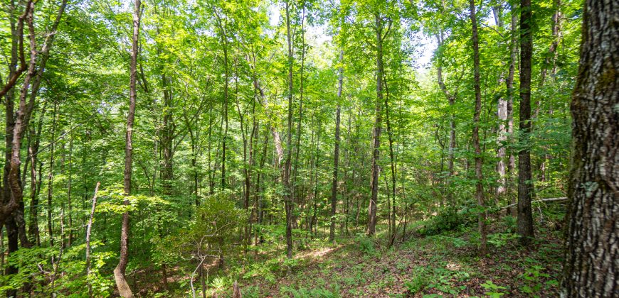 Chattahoochee Hardwoods