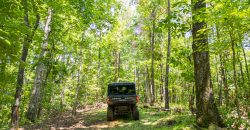 Chattahoochee Hardwoods