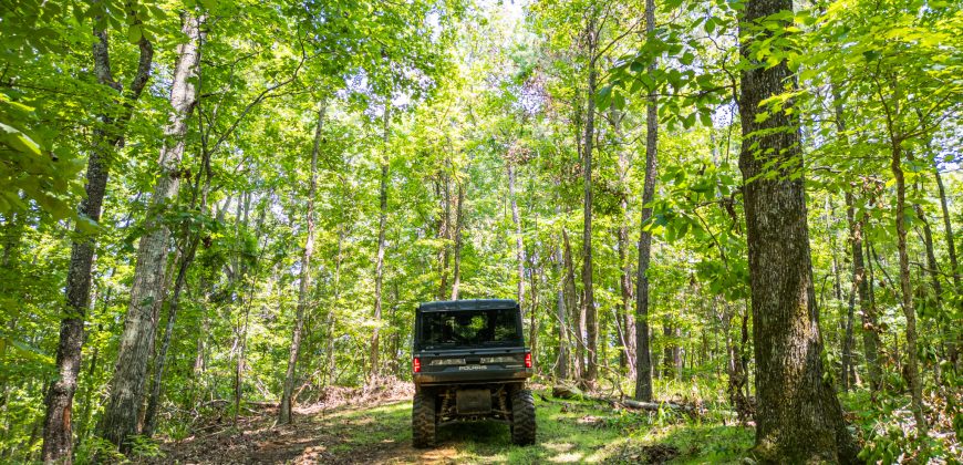 Chattahoochee Hardwoods