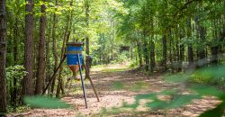 Chattahoochee Hardwoods
