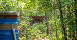 Chattahoochee Hardwoods