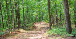 Chattahoochee Hardwoods