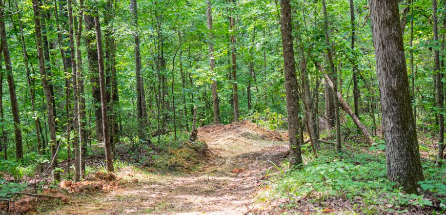 Chattahoochee Hardwoods