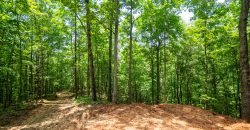 Chattahoochee Hardwoods